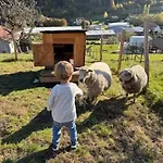 La Cle Des Champs - Le Cosy - Jaccuzi Prive Apartment